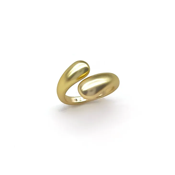 Anillo de derivación